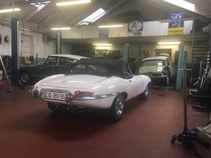 Officina Eccheli Alfredo & Figli Snc