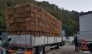 deposito provinciale