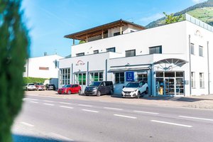 Auto Moser Sas